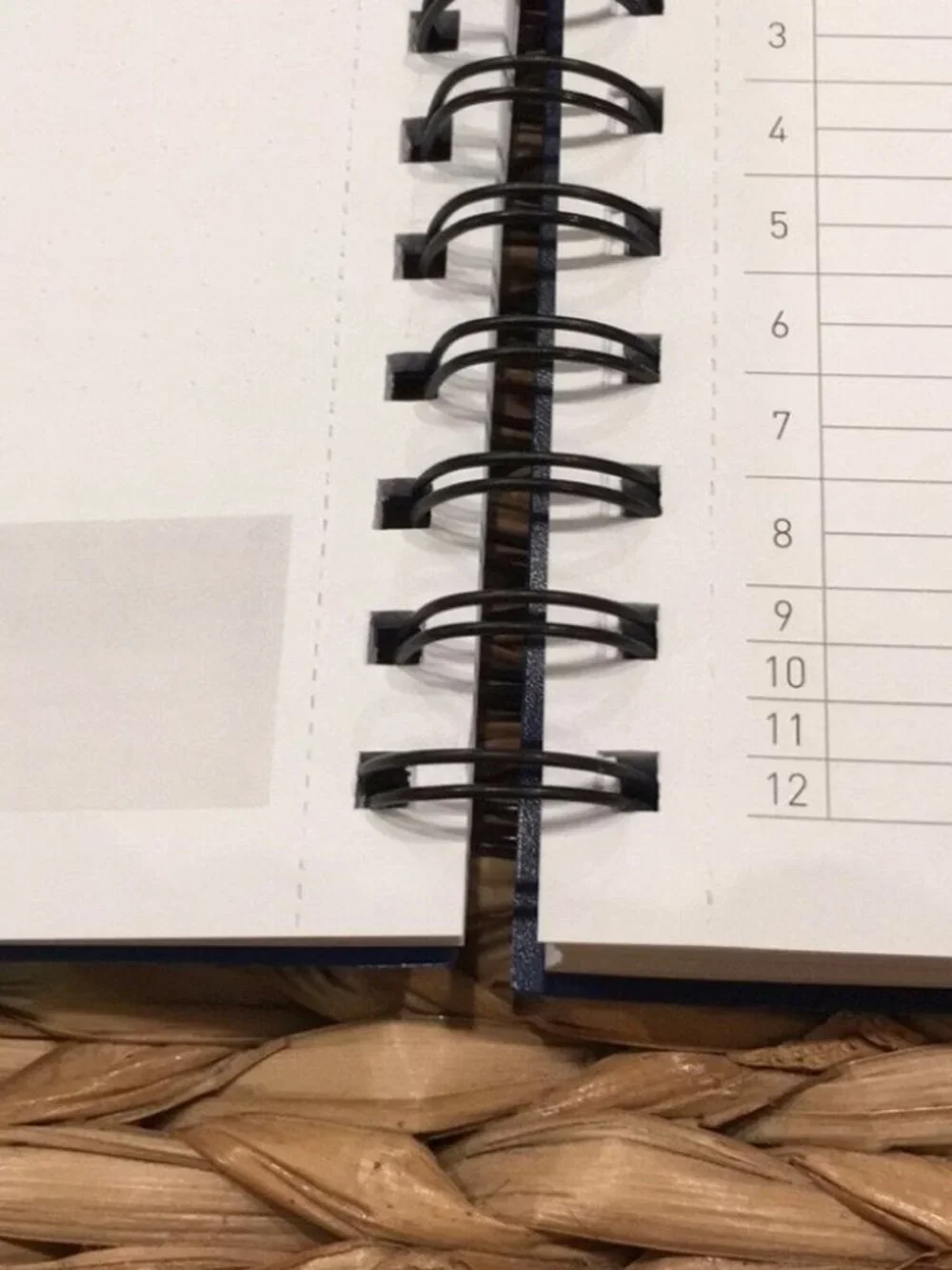 Power Place Personal Daily Planner‎ Non-Dated 6 Months 8.5x11 Blue